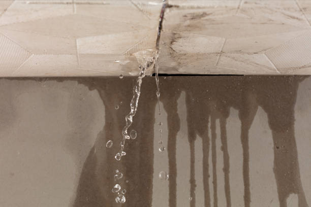 Professional Structural Drying technician working in Brant, MI